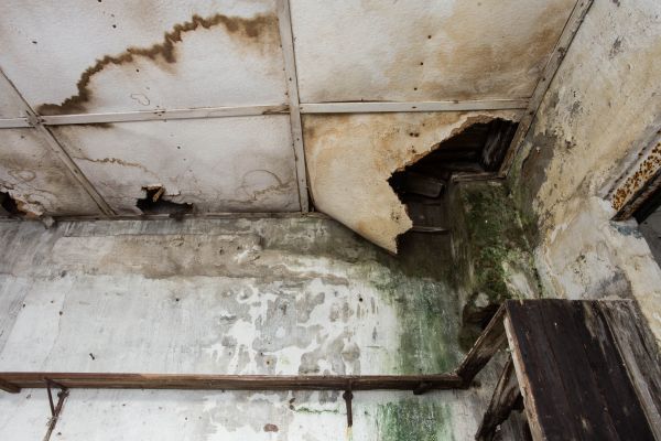 Water Damage Service in Santa Rosa Beach
