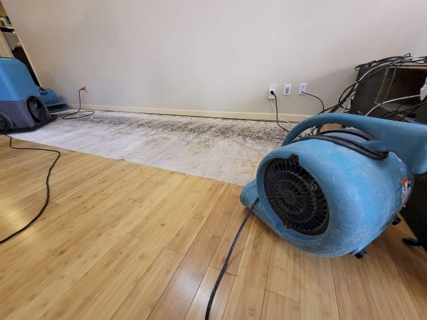 Water Damage Mitigation in Santa Rosa Beach