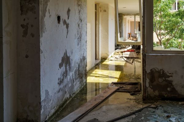 Water Removal Service in Santa Rosa Beach
