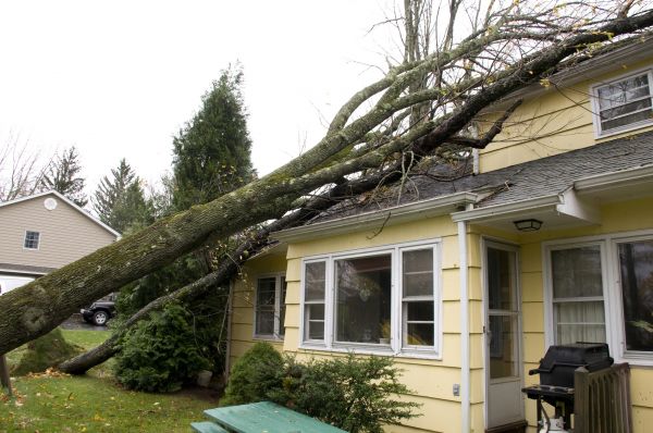 Hurricane Damage Repair in Santa Rosa Beach